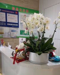 -美丽田园