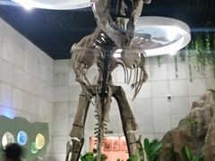-诸城市恐龙博物馆