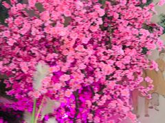 -韵秋荷(宝山龙湖天街店)