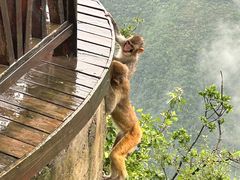 -重庆云阳龙缸景区