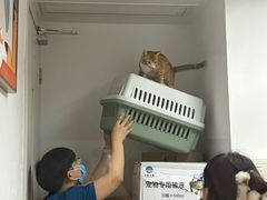 -御宝贝·A梦猫科宠物医院(国际猫友好医院)