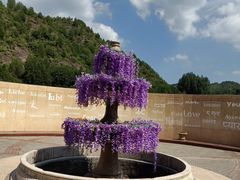 -紫海香堤香草艺术庄园