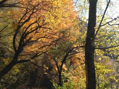 -叠溪松坪沟景区