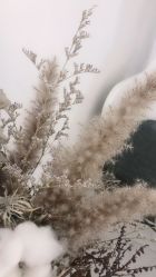 -紫御国际抗衰ZOE ANTI AGING