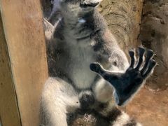 -洛阳龙门海洋馆