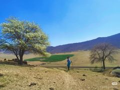 -克什克腾世界地质公园青山景区