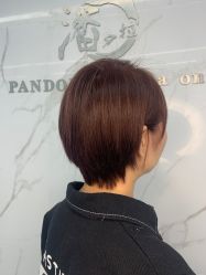 -潘多拉Hairsalon