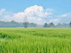 -中国天府农业博览园