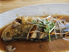 -启博美食城(孟家店)