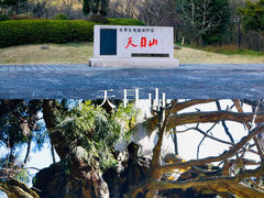 -龙坞茶村