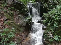 -莫里热带雨林景区