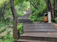 -王顺山国家森林公园