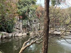 -荔湾湖公园