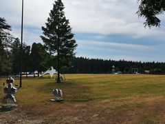 -黄海国家森林公园