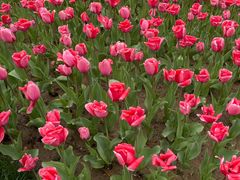 -廊坊文化艺术中心