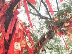 -国恩寺