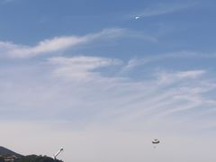 -望湖烤鱼