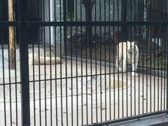 -广东茂名森林公园