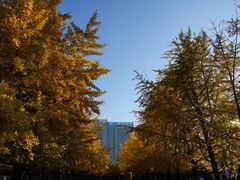 -辽宁大学(崇山校区)