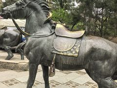 -元大都城垣遗址公园