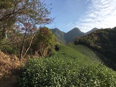 -午潮山国家森林公园
