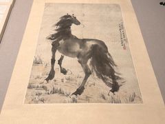 -桂林博物馆