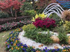 -徐家汇源景区-衡山公园