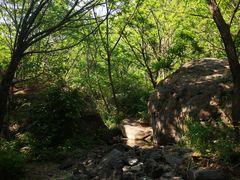 -云岫谷游猎自然风景区