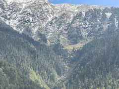 -林芝工布庄园希尔顿酒店-猎味中餐厅