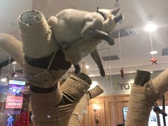 -袖虎·猫馆(体育西路店)