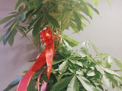 -小炉灶铁锅炖