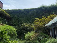 -中国茶叶博物馆(双峰馆区)