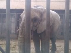 -石家庄市动物园