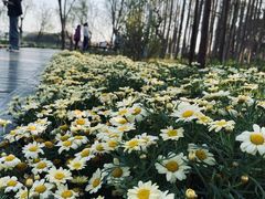 -渤公岛生态公园