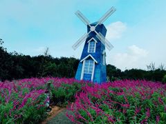 -铁山坪森林公园