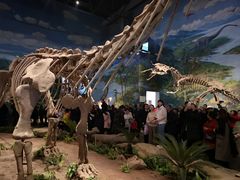 -自贡恐龙博物馆