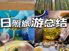 -渡海小渔村.老辈日照菜