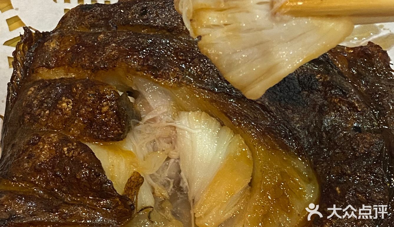 青岛｜烤鲽鱼头别太香了[吐]⁉️