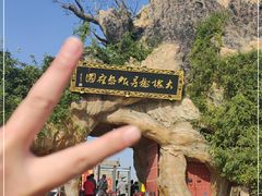 -大槐树寻根祭祖园