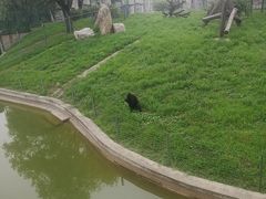 -石家庄市动物园