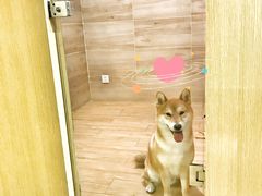 -Double Rui宠物酒店