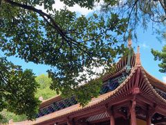 -普陀山风景名胜区-法雨禅寺