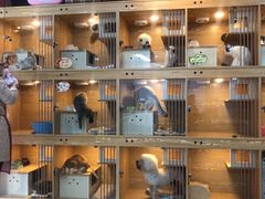 -喜狗宠物生活馆(岳州路店)