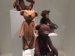 -济州岛泰迪熊博物馆