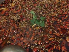 -味之绝热血美蛙鱼火锅(中坝店)