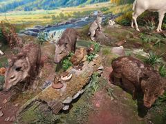 -陕西自然博物馆