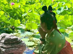 -莲湖公园