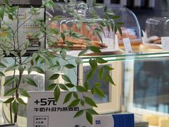 -野鸽子咖啡(中航店)