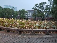 -四川大学(望江校区)