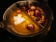 台式麻辣花胶鸡鸳鸯锅-湊湊火锅·茶憩(世博大道店)